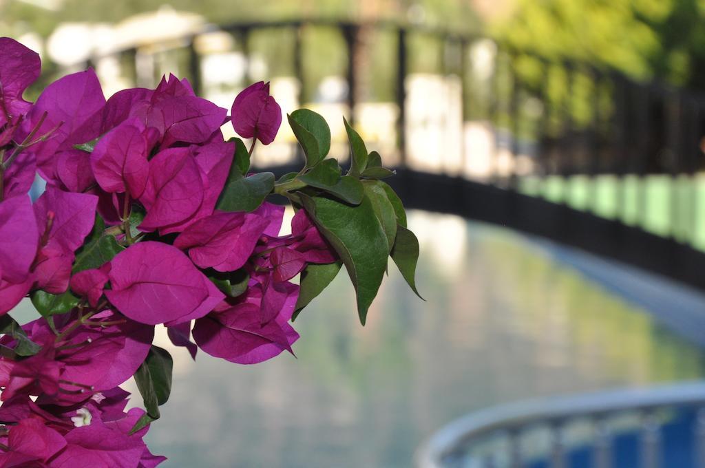 Ale Suite Hotel Torba Exterior foto